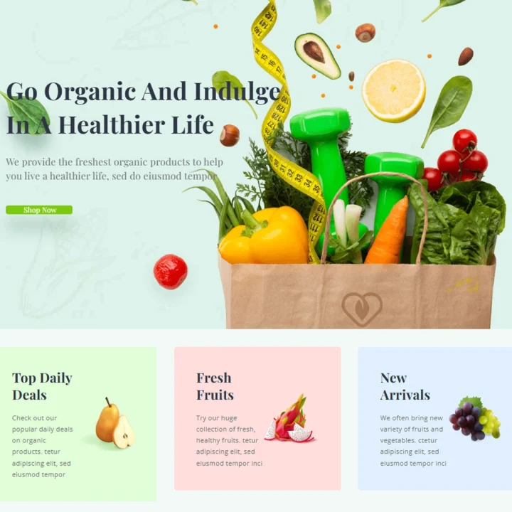 diseño página web ecommerce Colombia - Sitio web con e-commerce, tienda de alimentos orgánicos
